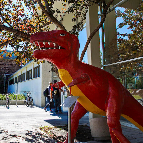 UCalgary mascot