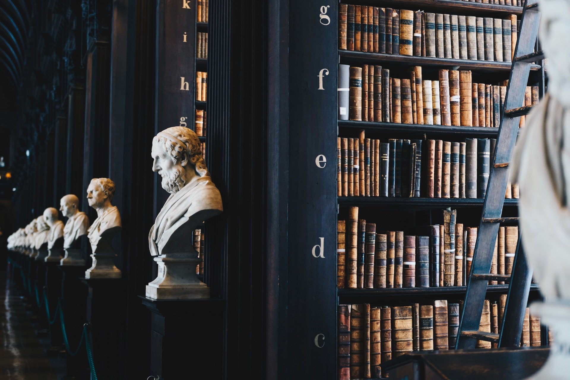 rows of books in a library